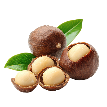 Nuts Right